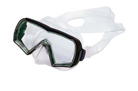 Visio (M-10)