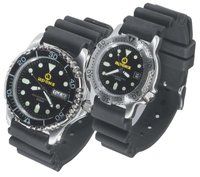 Apeks AP0406-2